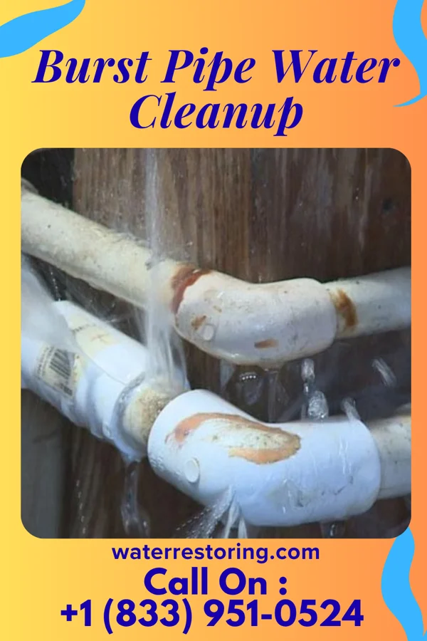 Burst Pipe Water Cleanup in Covington, GA