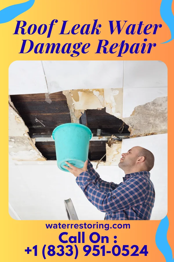 Roof Leak Water Damage Repair in Covington, GA
