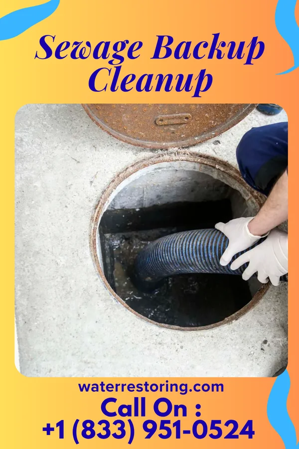 Sewage Backup Cleanup in Covington, GA